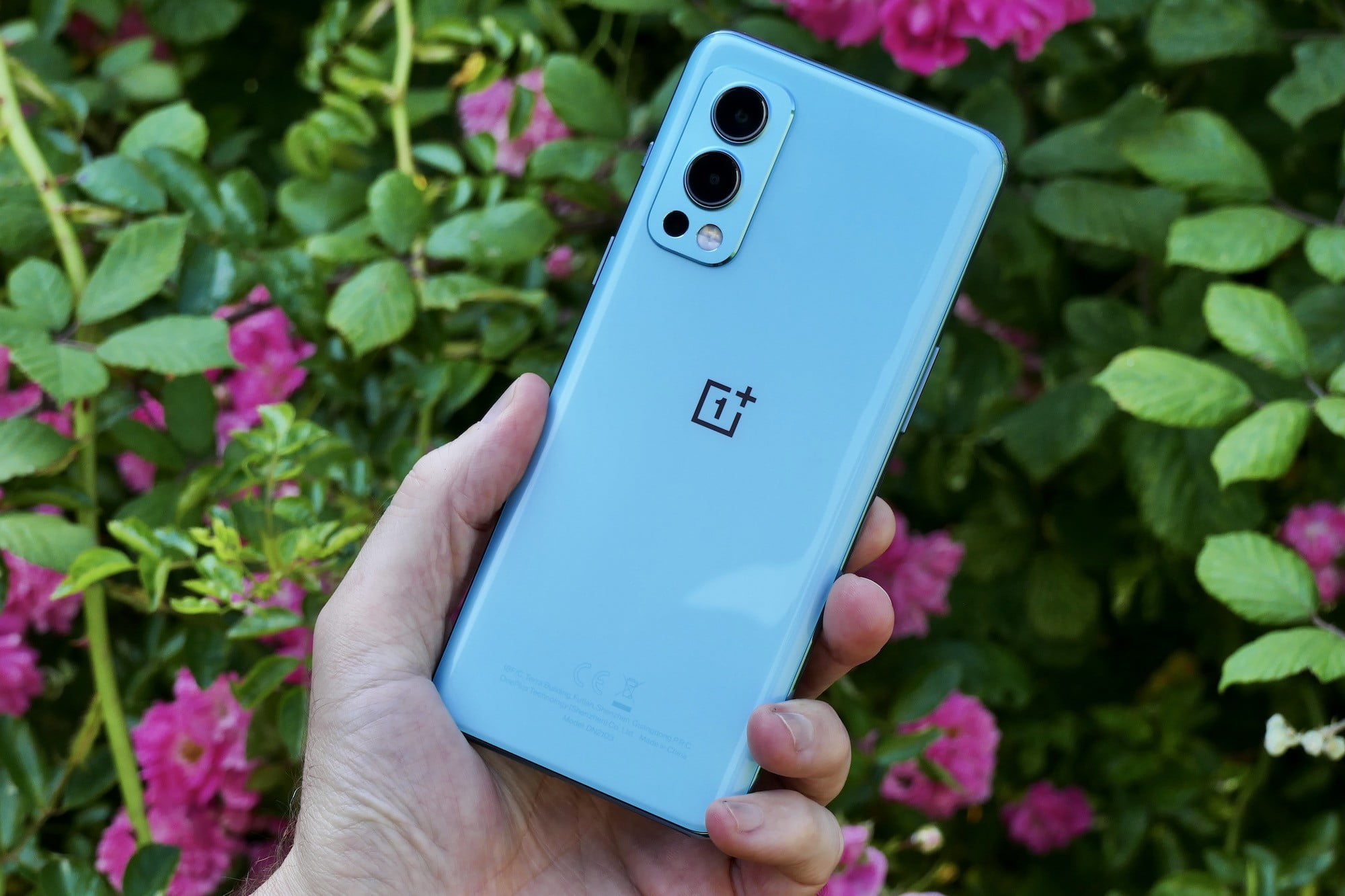 OnePlus Nord 2 5G Review: Just Call It the OnePlus 9 Lite - Techregister