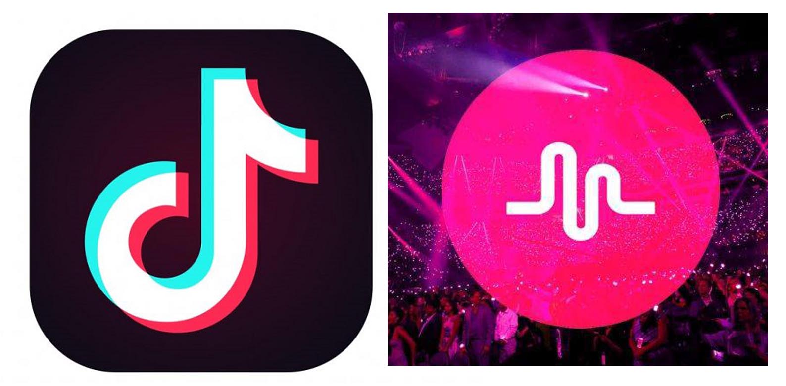 Tiktok download apk - tennissingl