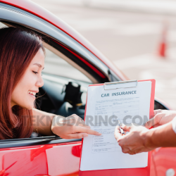 automobile insurance providers