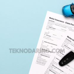 insurance coverage options