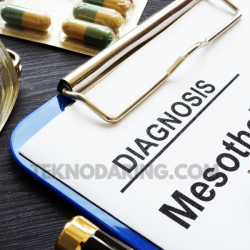 mesothelioma attorney