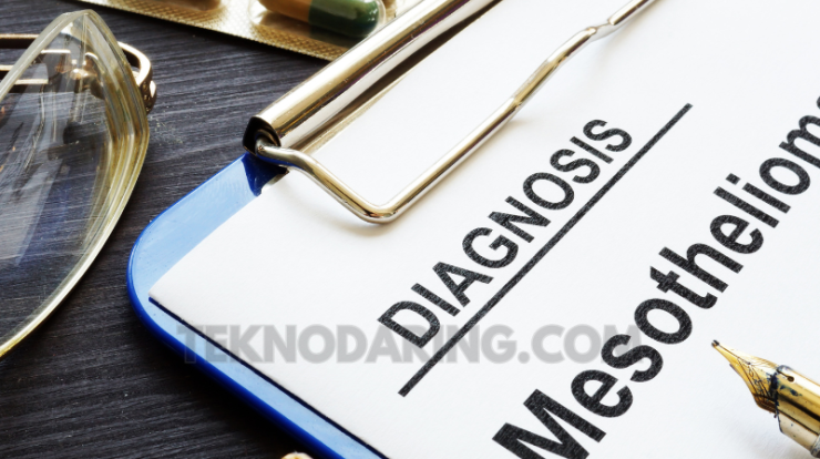 mesothelioma attorney