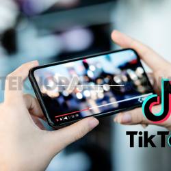 App to Download TikTok Videos