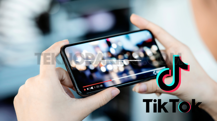 App to Download TikTok Videos