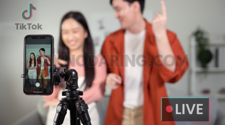 Download TikTok Videos App