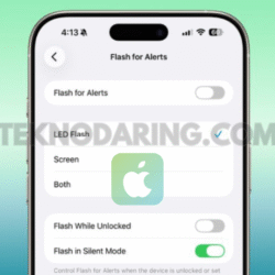 How to Enable Flash for Alerts For Iphone
