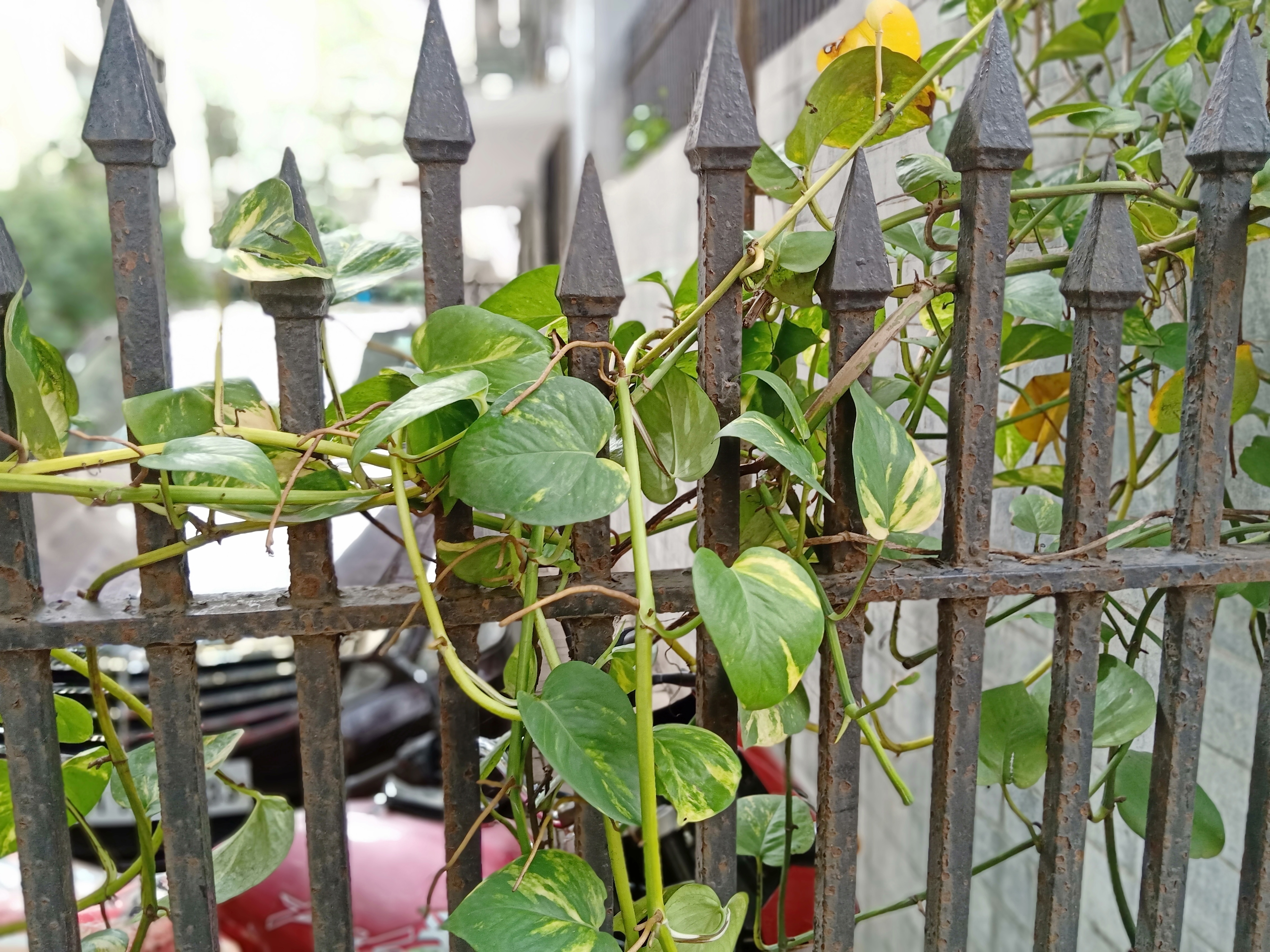 Oppo F9 Pro Review | Gadgets 360