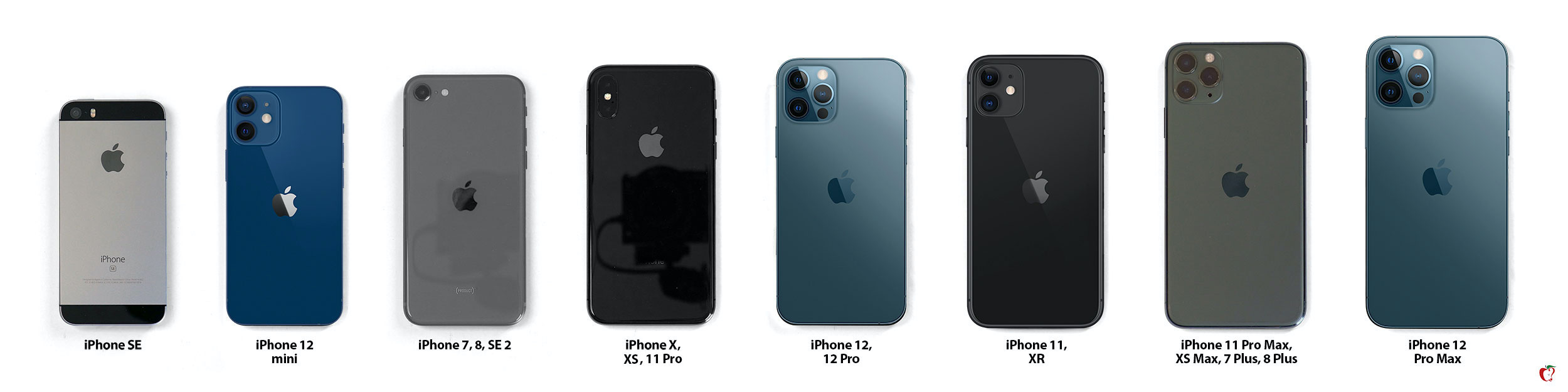 iPhone 12, Mini, and Max Size Comparison: All iPhone Models Side by